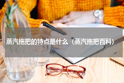 蒸汽拖把的特点是什么(蒸汽拖把百科)