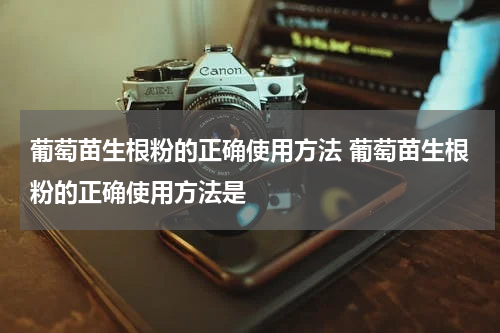 葡萄苗生根粉的正确使用方法 葡萄苗生根粉的正确使用方法是