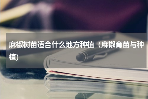 麻椒树苗适合什么地方种植（麻椒育苗与种植）