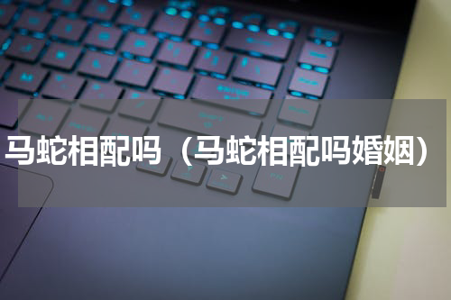 马蛇相配吗(马蛇相配吗婚姻)