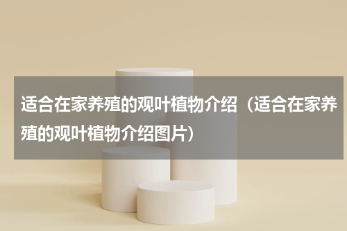 适合在家养殖的观叶植物介绍(适合在家养殖的观叶植物介绍图片)