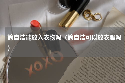 筒自洁能放入衣物吗(筒自洁可以放衣服吗)