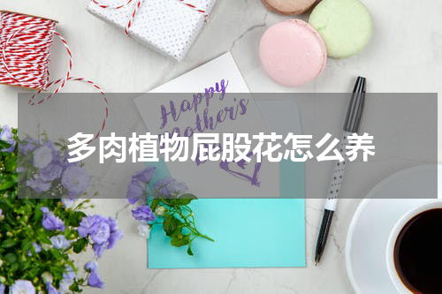 多肉植物屁股花怎么养