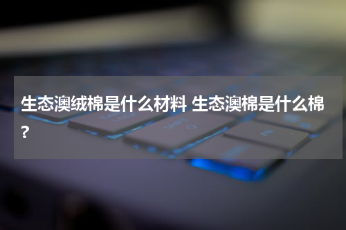 生态澳绒棉是什么材料 生态澳棉是什么棉?