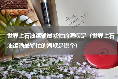 世界上石油运输最繁忙的海峡是（世界上石油运输最繁忙的海峡是哪个）