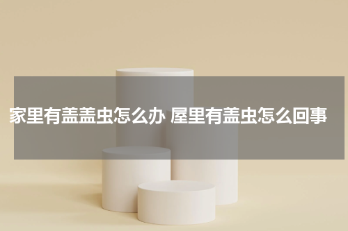 家里有盖盖虫怎么办 屋里有盖虫怎么回事