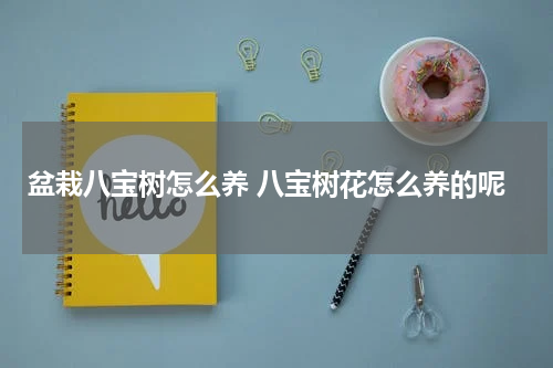 盆栽八宝树怎么养 八宝树花怎么养的呢