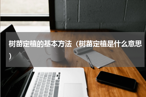 树苗定植的基本方法（树苗定植是什么意思）