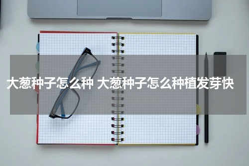 大葱种子怎么种 大葱种子怎么种植发芽快