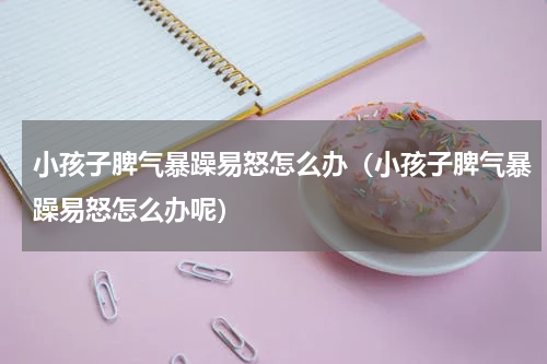 小孩子脾气暴躁易怒怎么办(小孩子脾气暴躁易怒怎么办呢)