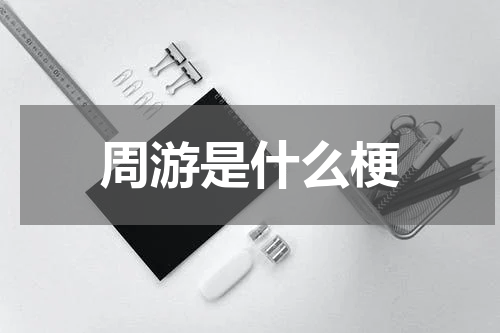 周游是什么梗