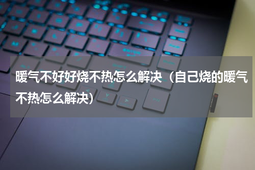 暖气不好好烧不热怎么解决（自己烧的暖气不热怎么解决）