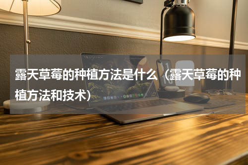 露天草莓的种植方法是什么（露天草莓的种植方法和技术）