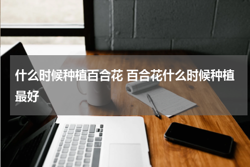 什么时候种植百合花 百合花什么时候种植最好