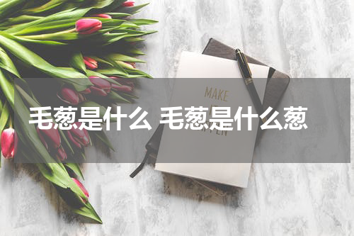 毛葱是什么 毛葱是什么葱