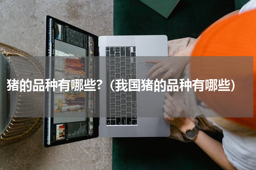 猪的品种有哪些?(我国猪的品种有哪些)