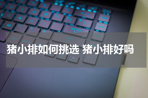 猪小排如何挑选 猪小排好吗