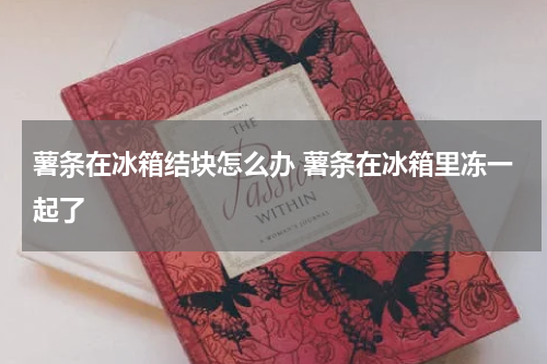 薯条在冰箱结块怎么办 薯条在冰箱里冻一起了