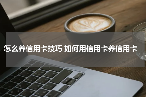 怎么养信用卡技巧 如何用信用卡养信用卡