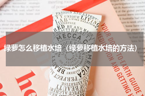 绿萝怎么移植水培(绿萝移植水培的方法)