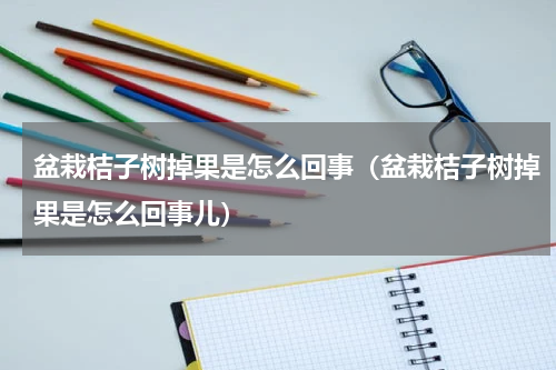 盆栽桔子树掉果是怎么回事（盆栽桔子树掉果是怎么回事儿）