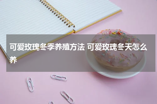 可爱玫瑰冬季养殖方法 可爱玫瑰冬天怎么养