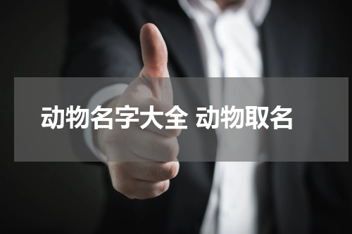 动物名字大全 动物取名