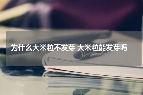 为什么大米粒不发芽 大米粒能发芽吗