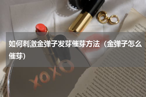 如何刺激金弹子发芽催芽方法（金弹子怎么催芽）