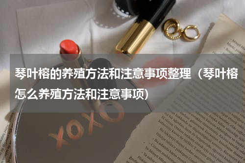 琴叶榕的养殖方法和注意事项整理（琴叶榕怎么养殖方法和注意事项）