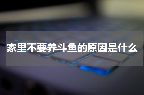 家里不要养斗鱼的原因是什么