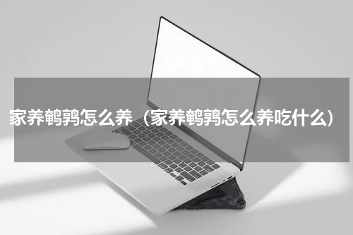 家养鹌鹑怎么养（家养鹌鹑怎么养吃什么）