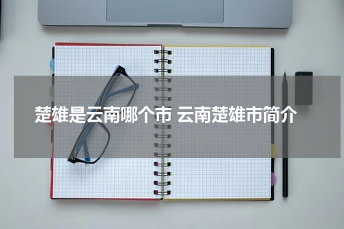 楚雄是云南哪个市 云南楚雄市简介