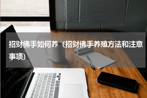 招财佛手如何养（招财佛手养殖方法和注意事项）