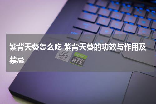 紫背天葵怎么吃 紫背天葵的功效与作用及禁忌