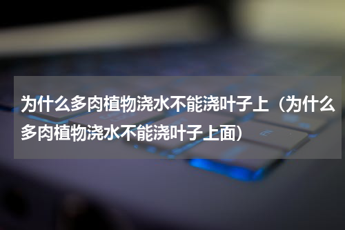 为什么多肉植物浇水不能浇叶子上(为什么多肉植物浇水不能浇叶子上面)