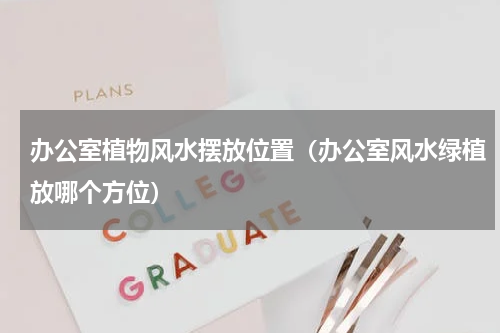 办公室植物风水摆放位置(办公室风水绿植放哪个方位)
