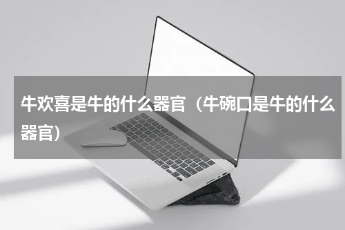 牛欢喜是牛的什么器官(牛碗口是牛的什么器官)