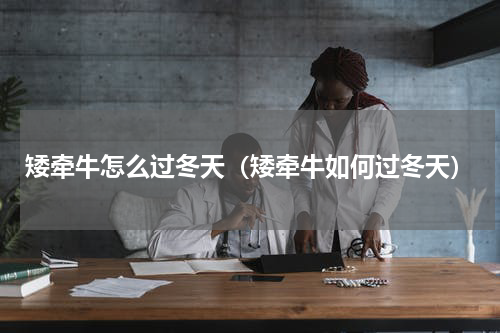 矮牵牛怎么过冬天（矮牵牛如何过冬天）