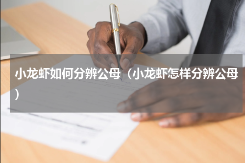 小龙虾如何分辨公母(小龙虾怎样分辨公母)