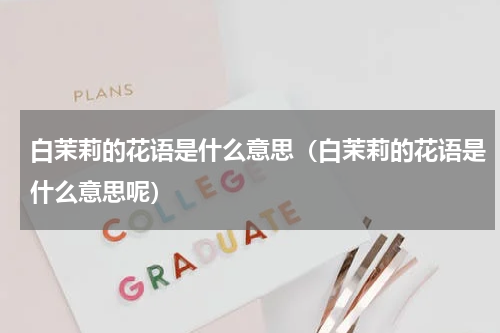 白茉莉的花语是什么意思（白茉莉的花语是什么意思呢）