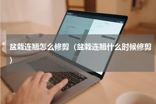 盆栽连翘怎么修剪(盆栽连翘什么时候修剪)