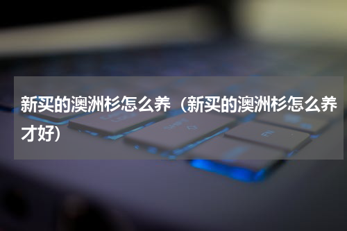 新买的澳洲杉怎么养（新买的澳洲杉怎么养才好）