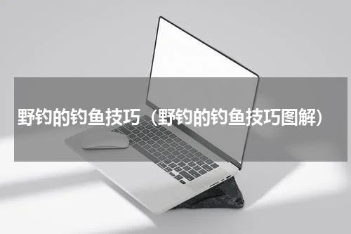 野钓的钓鱼技巧(野钓的钓鱼技巧图解)