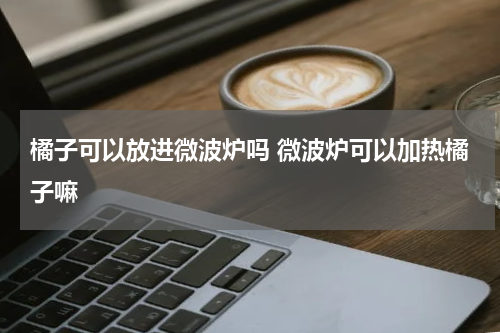 橘子可以放进微波炉吗 微波炉可以加热橘子嘛