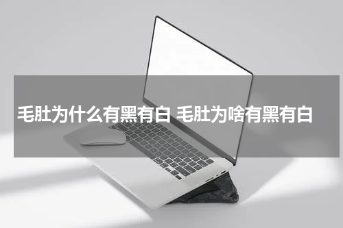毛肚为什么有黑有白 毛肚为啥有黑有白