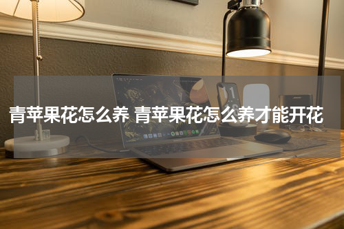 青苹果花怎么养 青苹果花怎么养才能开花