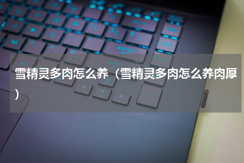 雪精灵多肉怎么养（雪精灵多肉怎么养肉厚）