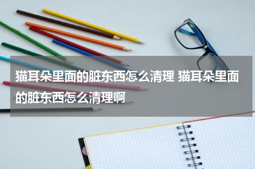 猫耳朵里面的脏东西怎么清理 猫耳朵里面的脏东西怎么清理啊