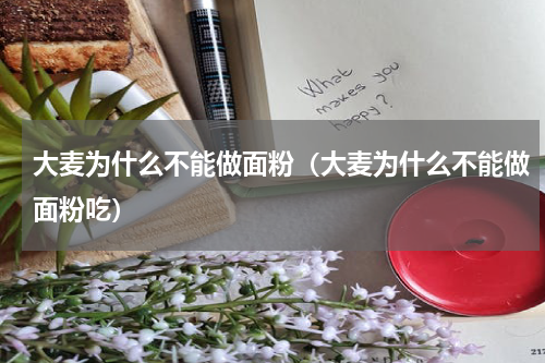 大麦为什么不能做面粉（大麦为什么不能做面粉吃）